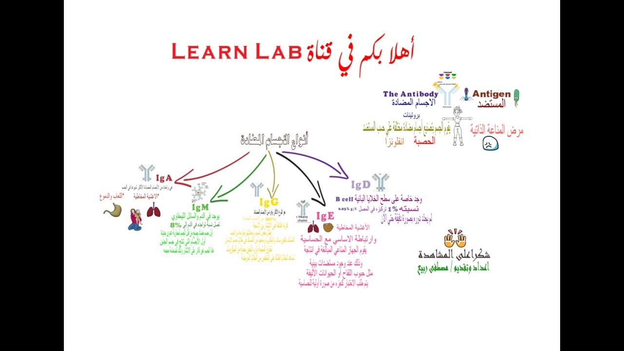 هل لديك معلومات كافية عن الاجسام المضادة - علاج الاجسام المضادة 244 2