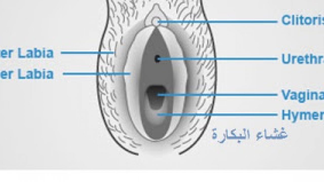 الفرق بين العذراء والغير عذراء بالصور - كيف اعرف اني بنت 3501 9