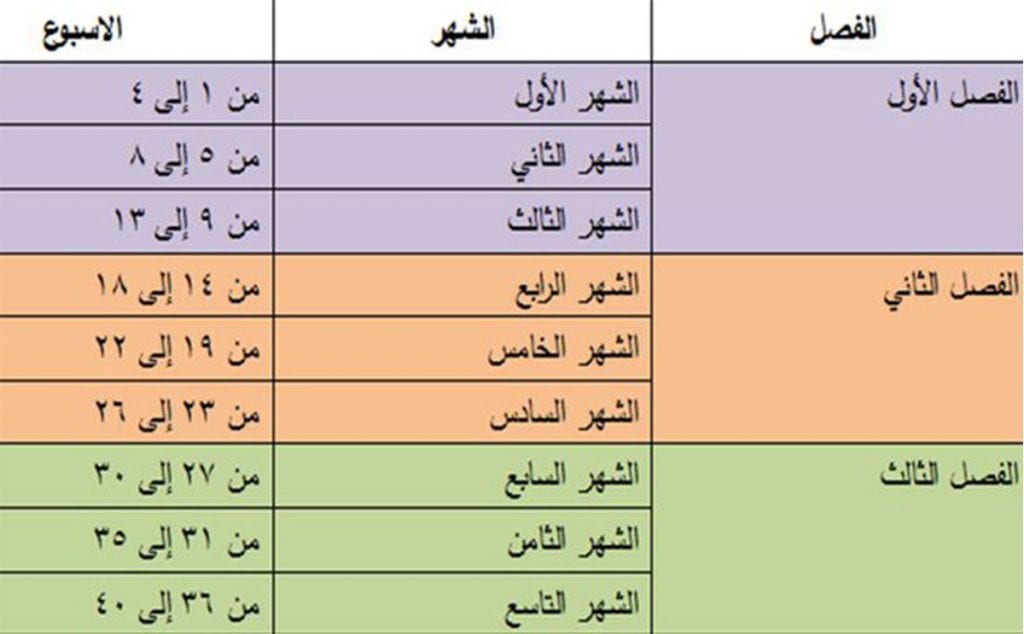 الشهر الثامن كم اسبوع , احسب الشهور والاسابيع بهذه الطريقة السهلة