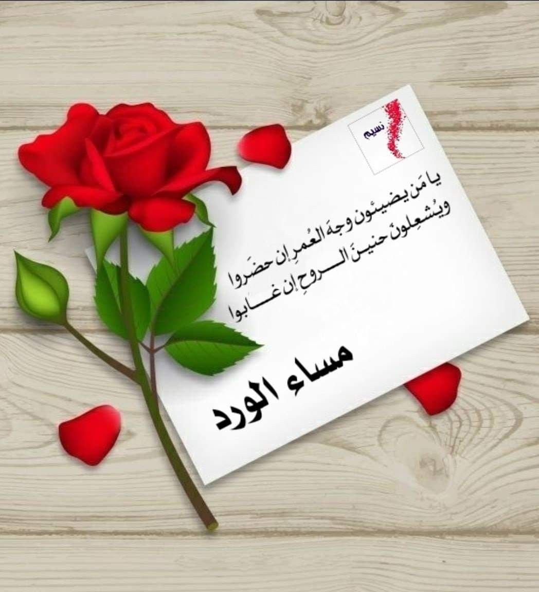 اجمل ورود المساء - صور مساء الورد 3492 14