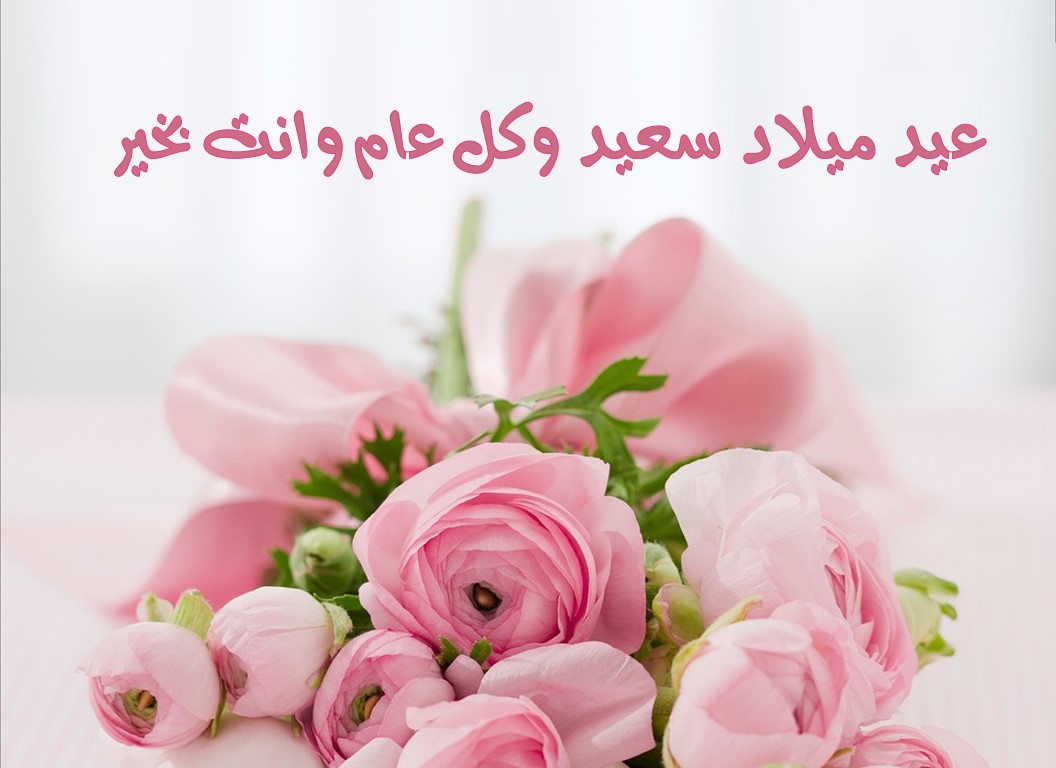 صور عيد ميلاد ورد - اتفرج احلى ورود لاعياد الميلاد 2927 14