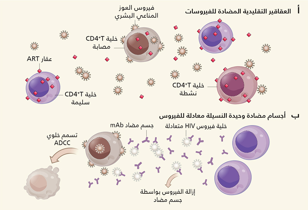 هل لديك معلومات كافية عن الاجسام المضادة - علاج الاجسام المضادة 244 1