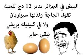 نكت عن البيض - اجمل الصور المضحكة عن البيض 515 9