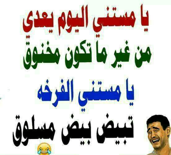 نكت عن البيض - اجمل الصور المضحكة عن البيض 515 7