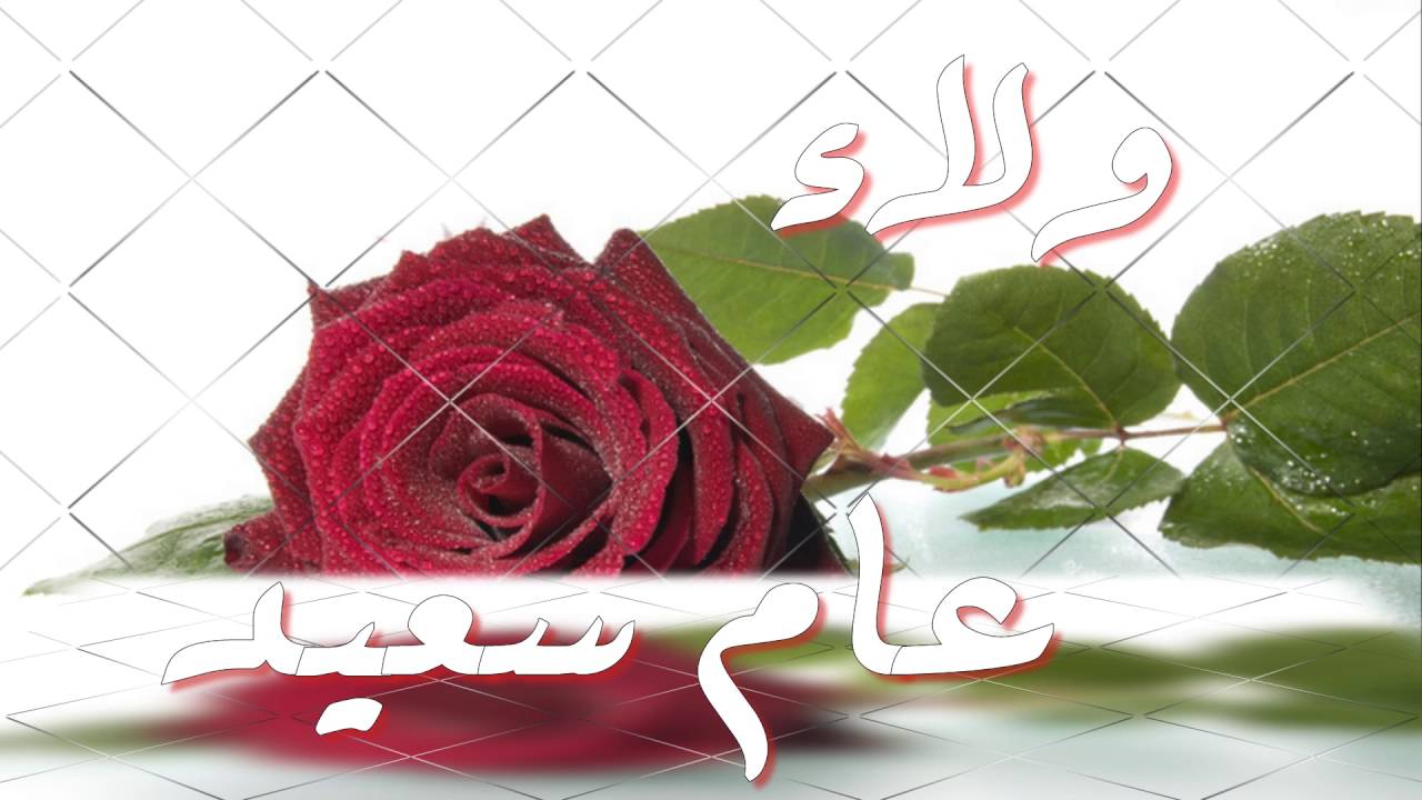 صور عيد ميلاد ورد - اتفرج احلى ورود لاعياد الميلاد 2927 5