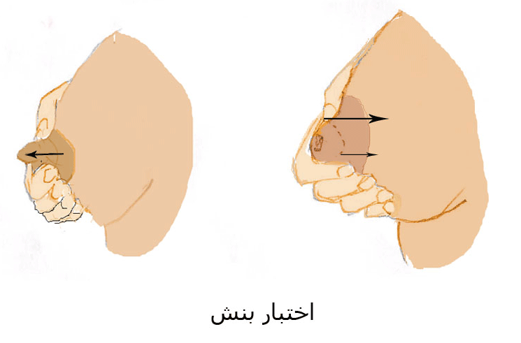 تكبير الحلمتين بالصور - تعرفى على تمارين لتكبير حلمه الصدر 2053