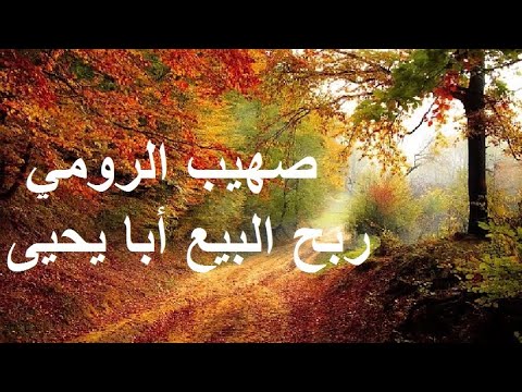 قصة صهيب الرومي - ربحت البيعه ابا يحيى 2111