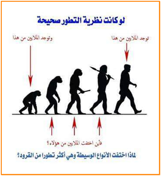 نقد نظرية التطور - نظريه التطور بين الرفض و القبول 3723 1