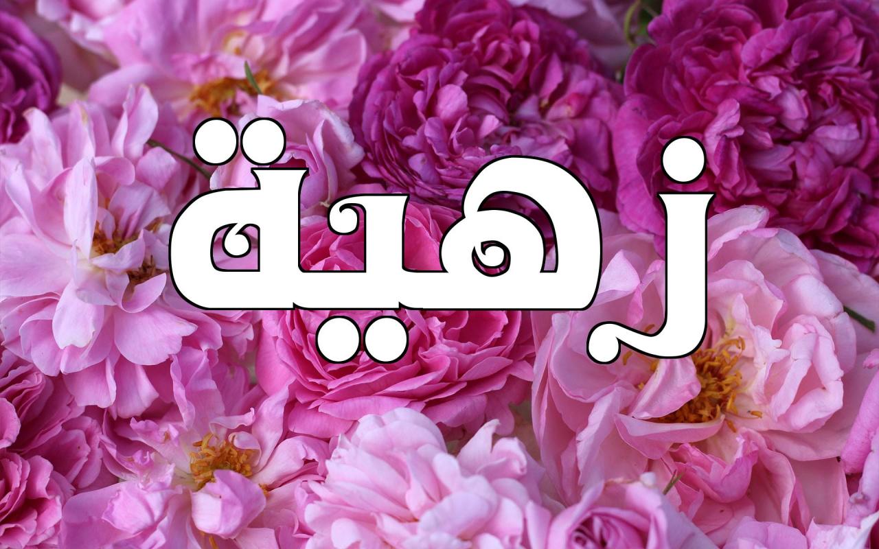 معنى اسم زهية , معانى اسماء اسم زهية