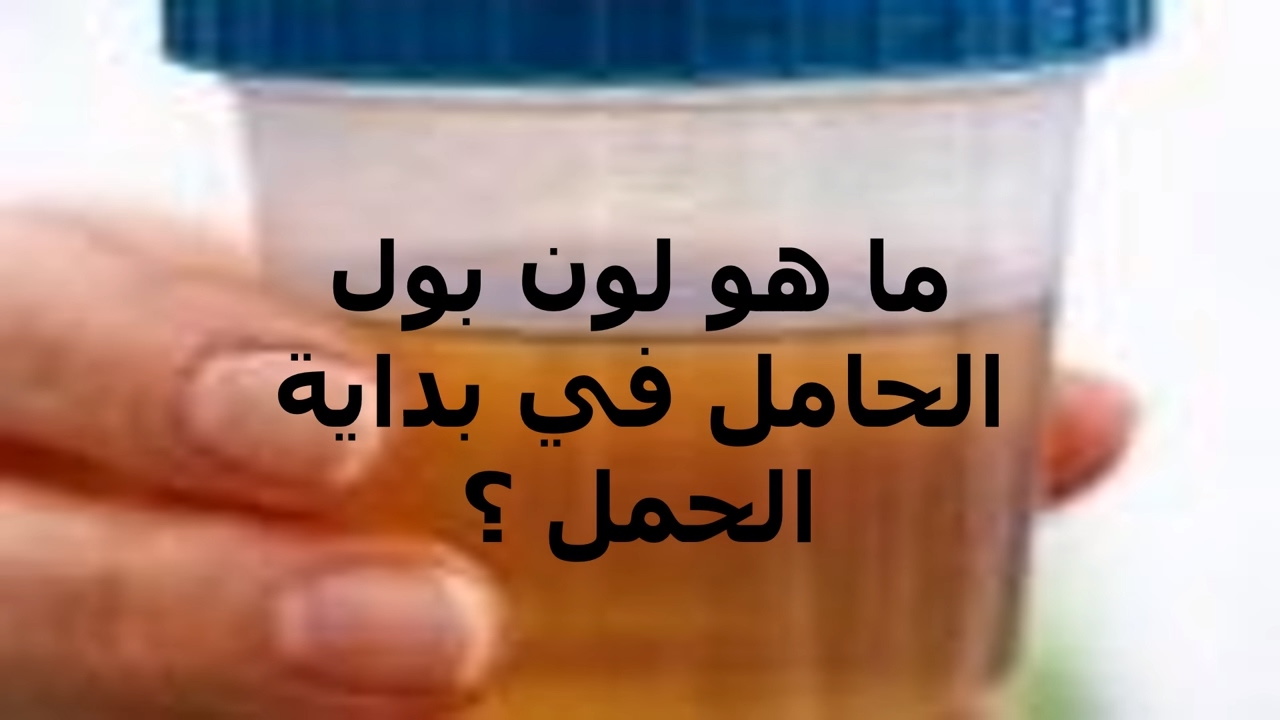 كيف اعرف اني حامل عن طريق البول , هل يمكن الكشف عن الحمل بلون البول