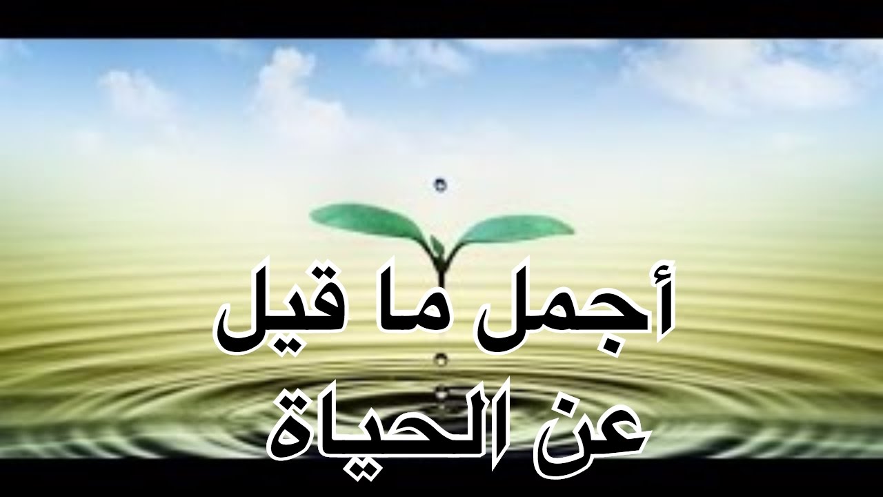 اجمل ما قيل في الحياة - اروع المقولات عن الحياة الدنيا 2793 6