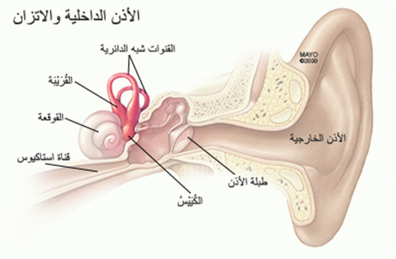 اسباب عدم الاتزان في المشي - عدم قدرتك علي توازن نفسك واسبابه 868