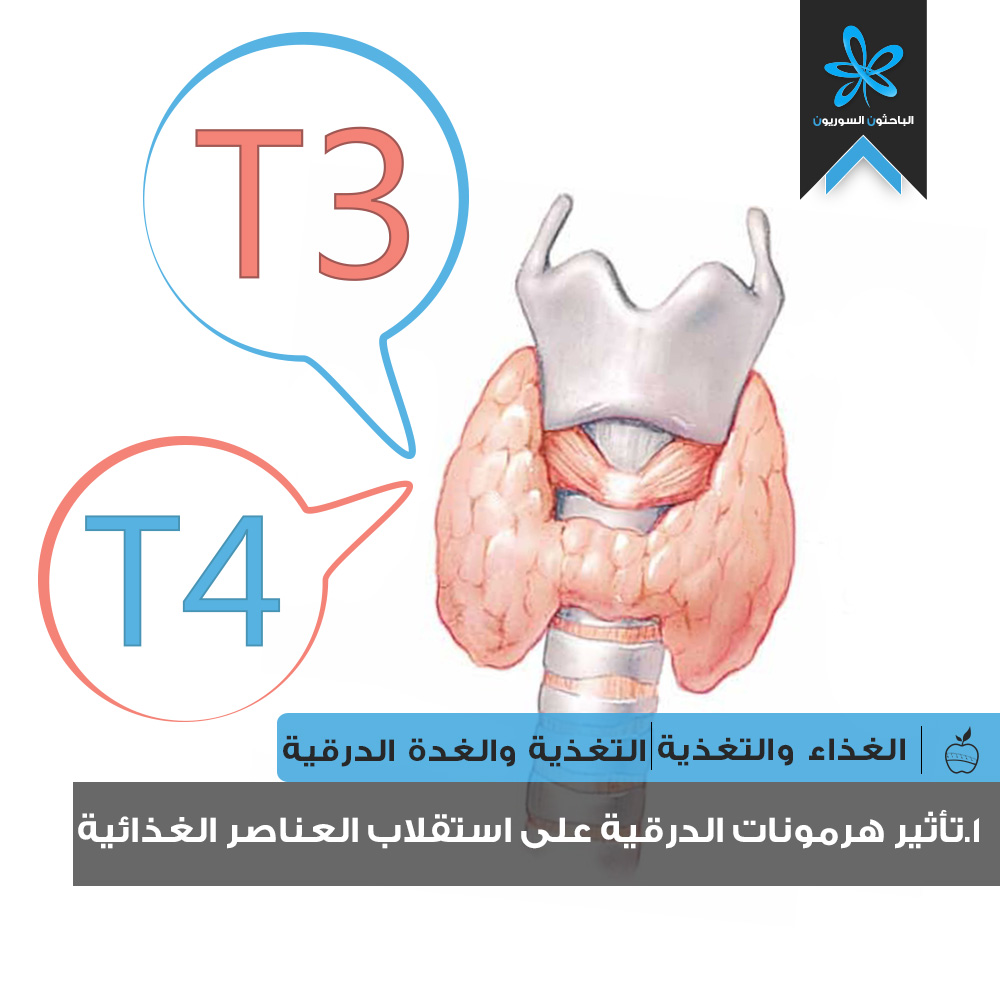 هرمون الغدة الدرقية - معلومات مهمة عن هرمون الغدة الدرقية 2904