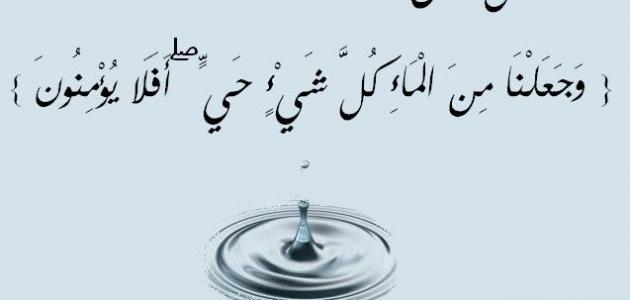 موضوع عن اهمية الماء - الماء هو سر الحياه 346 3