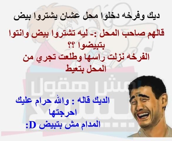 نكت عن البيض - اجمل الصور المضحكة عن البيض 515 8