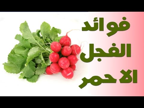 فوائد الفجل الاحمر - اهم فوائد الفجل الاحمر للجسم 3662 3