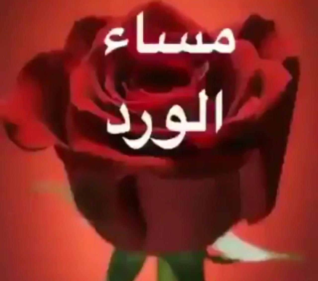 اجمل ورود المساء - صور مساء الورد 3492 20