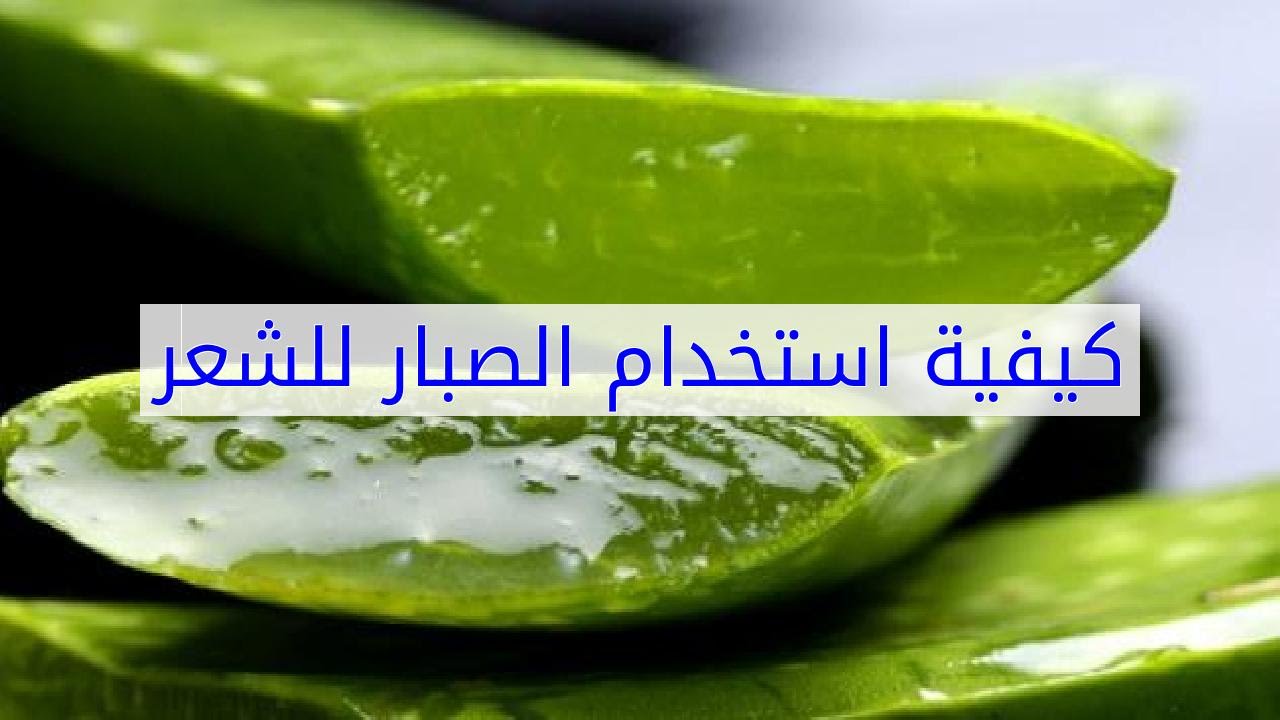 استعمال الصبار للشعر , فوائد الصبار للشعر وطريقه استخدامه