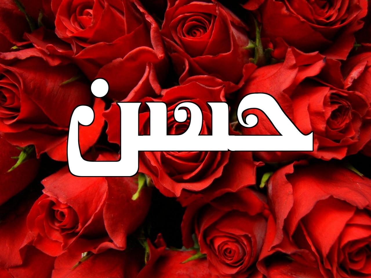 صور اسم حسن - معني جميل لاسم موالدك حسن 2598 6