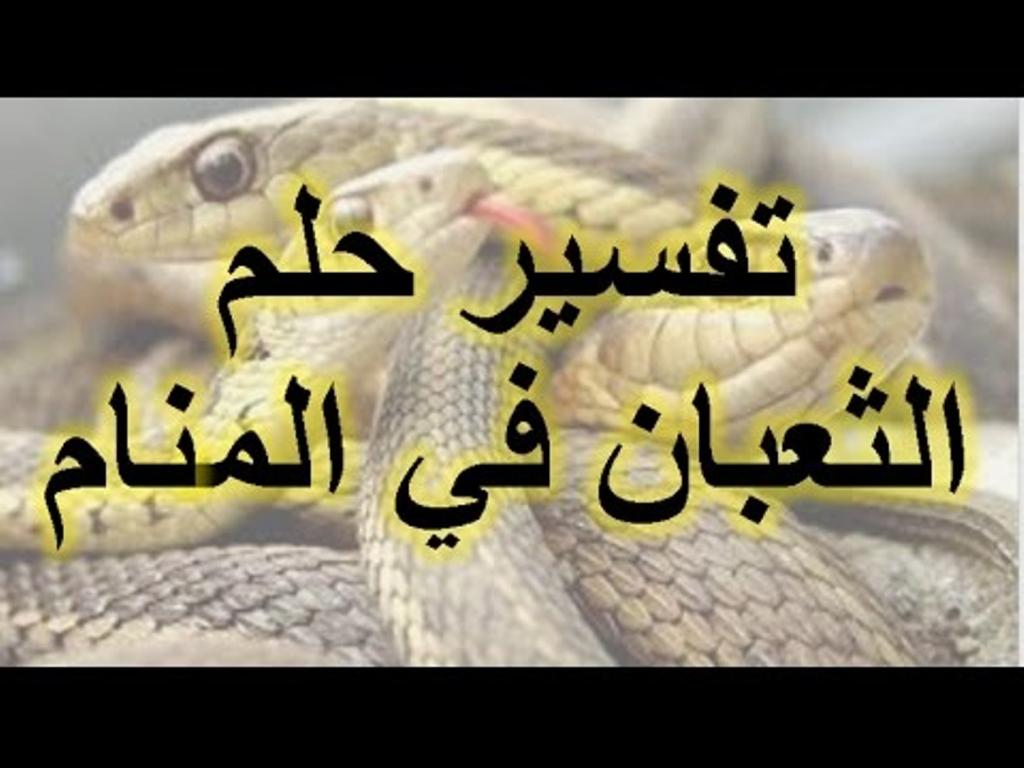 رايت ثعبان و كنت خائفه , تفسير حلم الثعبان في المنام