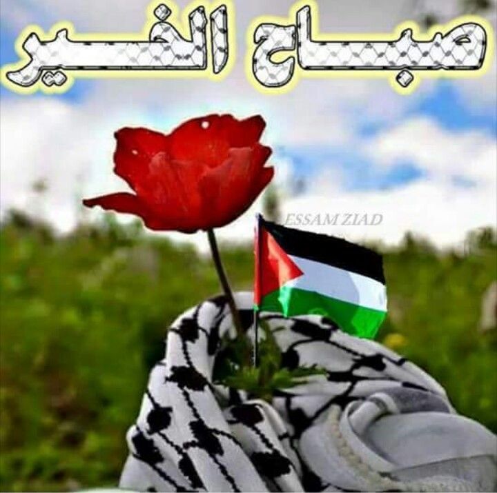 كلمه جميله عن الصباح الباكر , صباح الخير فلسطين