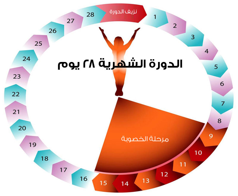 الدورة الشهرية للبنات - كلمات خاصه جدا 504 2