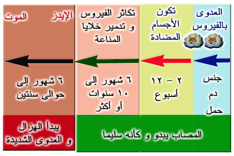 اسباب مرض الايدز - مرض او فيروس نقص المناعه