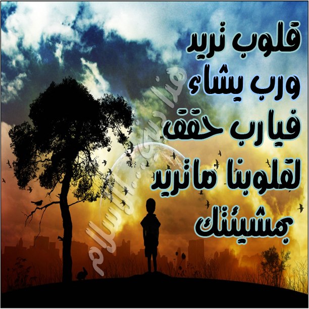 اجمل الصور واتس اب - صور وخلفيات واتس اب تعبر عن حالاتك 961 7