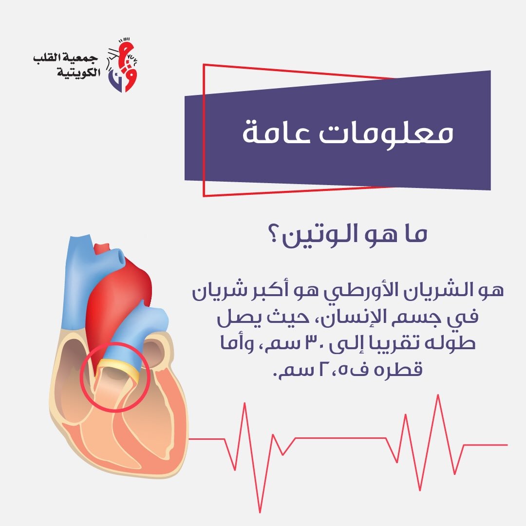 معنى كلمة وتين - نهر الجسد 2395 2