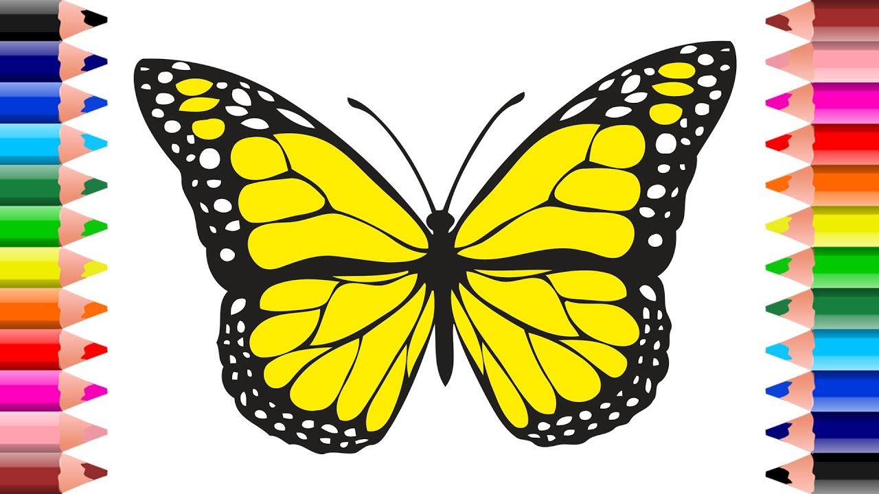 رسم فراشة ملونة تعلم رسم الفراشات بطريقة سهله بالصور ازاي