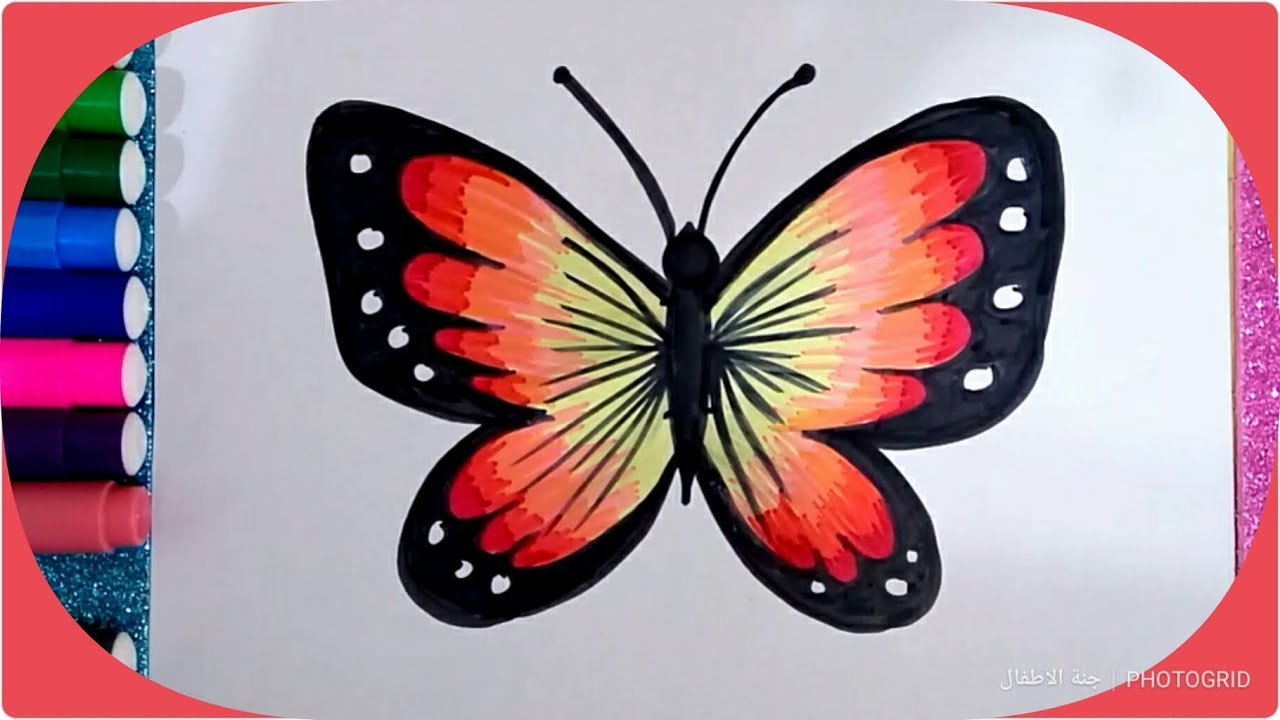 رسم فراشة ملونة , تعلم رسم الفراشات بطريقة سهله بالصور ازاي