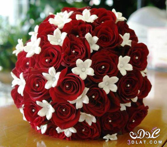 ال محبى الورود , بوكيه ورد احمر وابيض طبيعى - ازاي